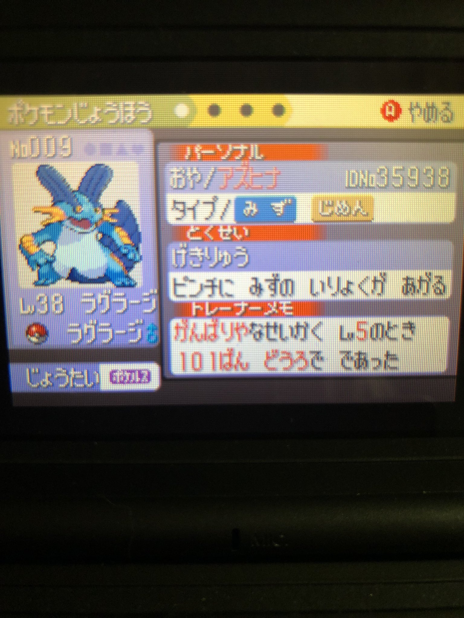 ネコ チャン Mush36room Twitter