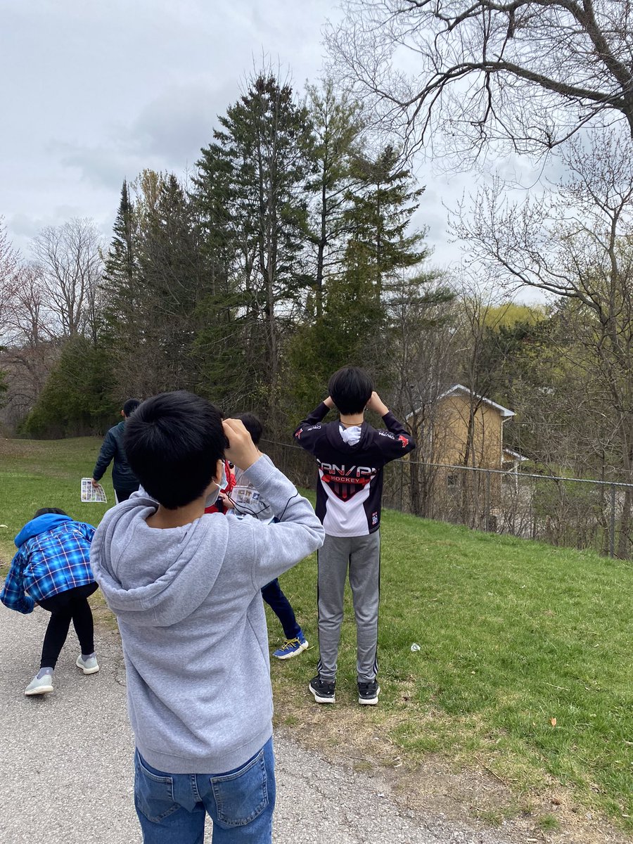 MsCherutti's tweet photo. My class enjoyed our at school field trip with @BirdsCanada! We spotted 14 birds🦅🐦🐤 #yrdsb https://t.co/danolQ4JZv