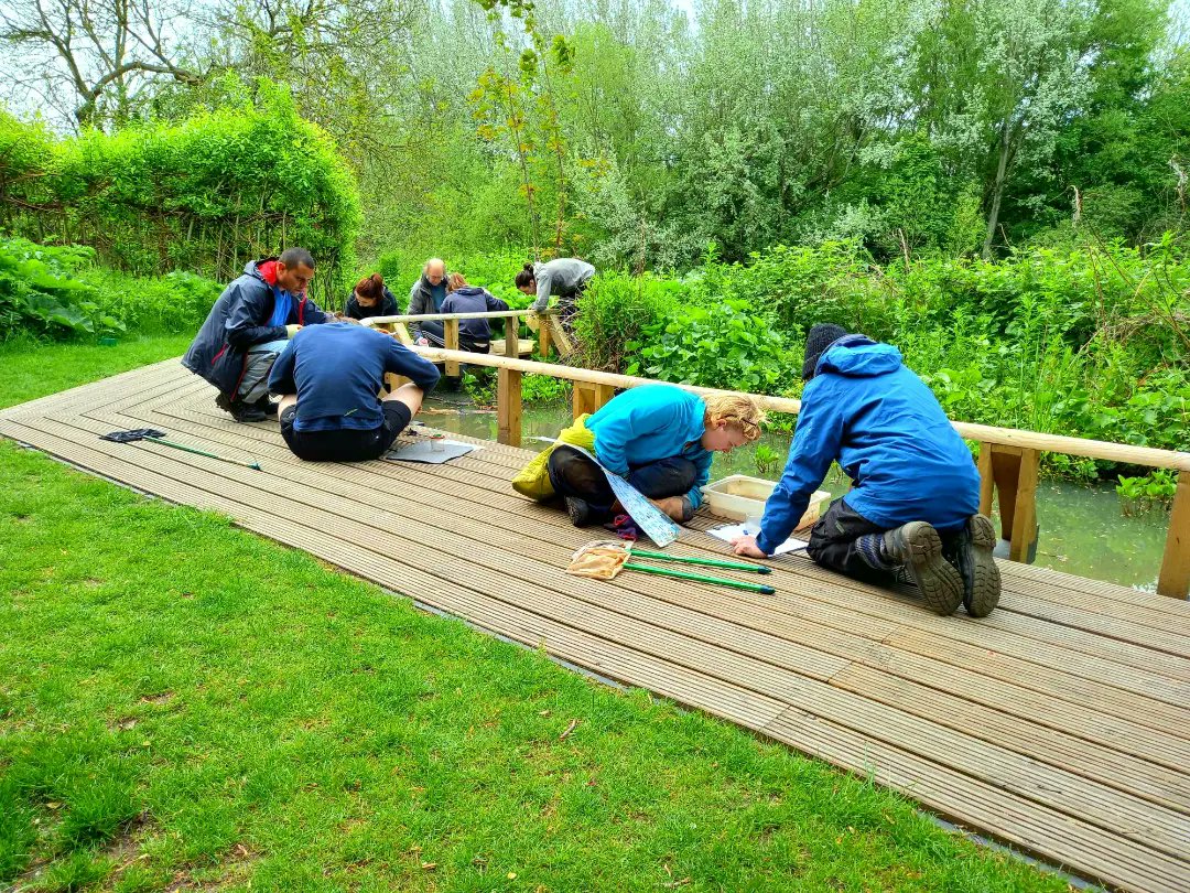 SkeltonGrange's tweet photo. Aquatic #InvertebrateSurveying!
Today our #GreenTeam were hard at work surveying the ponds. This was a great task for our #volunteers to learn a new skill and for Skelton Grange to get some valuable data on our ponds diverse ecosystems 🐸
#practicalconservation #joininfeelgood https://t.co/81UfKoflvA