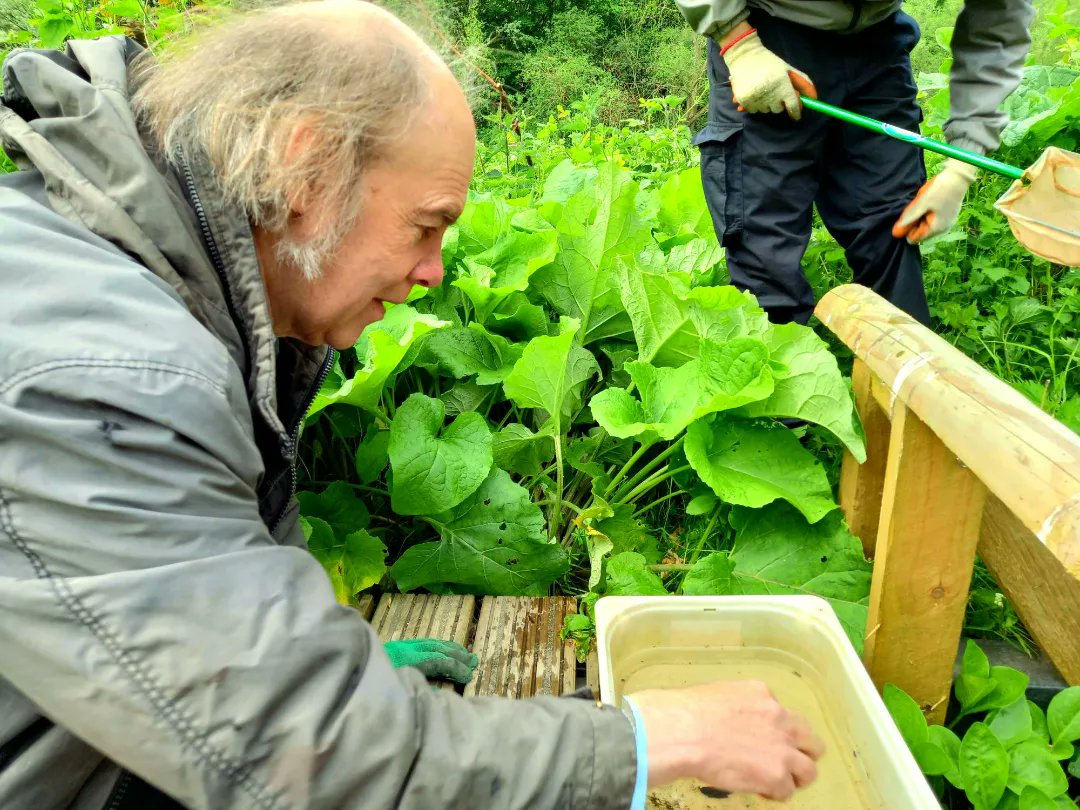 SkeltonGrange's tweet photo. Aquatic #InvertebrateSurveying!
Today our #GreenTeam were hard at work surveying the ponds. This was a great task for our #volunteers to learn a new skill and for Skelton Grange to get some valuable data on our ponds diverse ecosystems 🐸
#practicalconservation #joininfeelgood https://t.co/81UfKoflvA