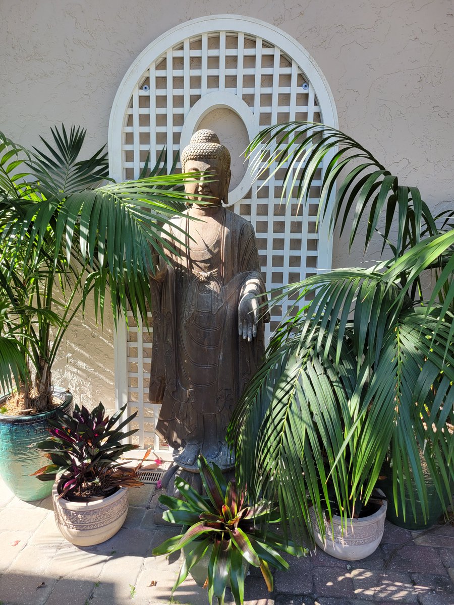 Hope you're having a #peaceful week. Shout out to the 6’ tall Standing #Buddha who guards the entrance to our #garden gift shop. Warmth & wellness to everyone 🌞  rswalsh.com 

#paradise #swfl #captiva #sanibel #fortmyers #beach #wellness #zen #islanddesign #outdoors