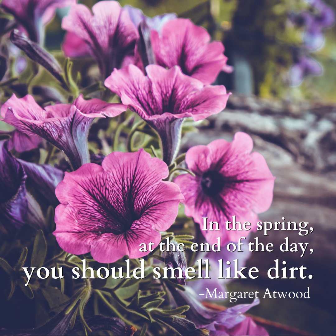CityFloral's tweet photo. "In the spring, at the end of the day, you should smell like dirt."
-Margaret Atwood https://t.co/UWYdGzTovq