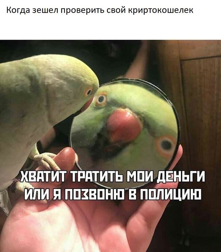 Gurin_Ne_Merin's tweet photo. @lord_iktor И выглядел этот диалог примерно так: https://t.co/YynnA5UryM