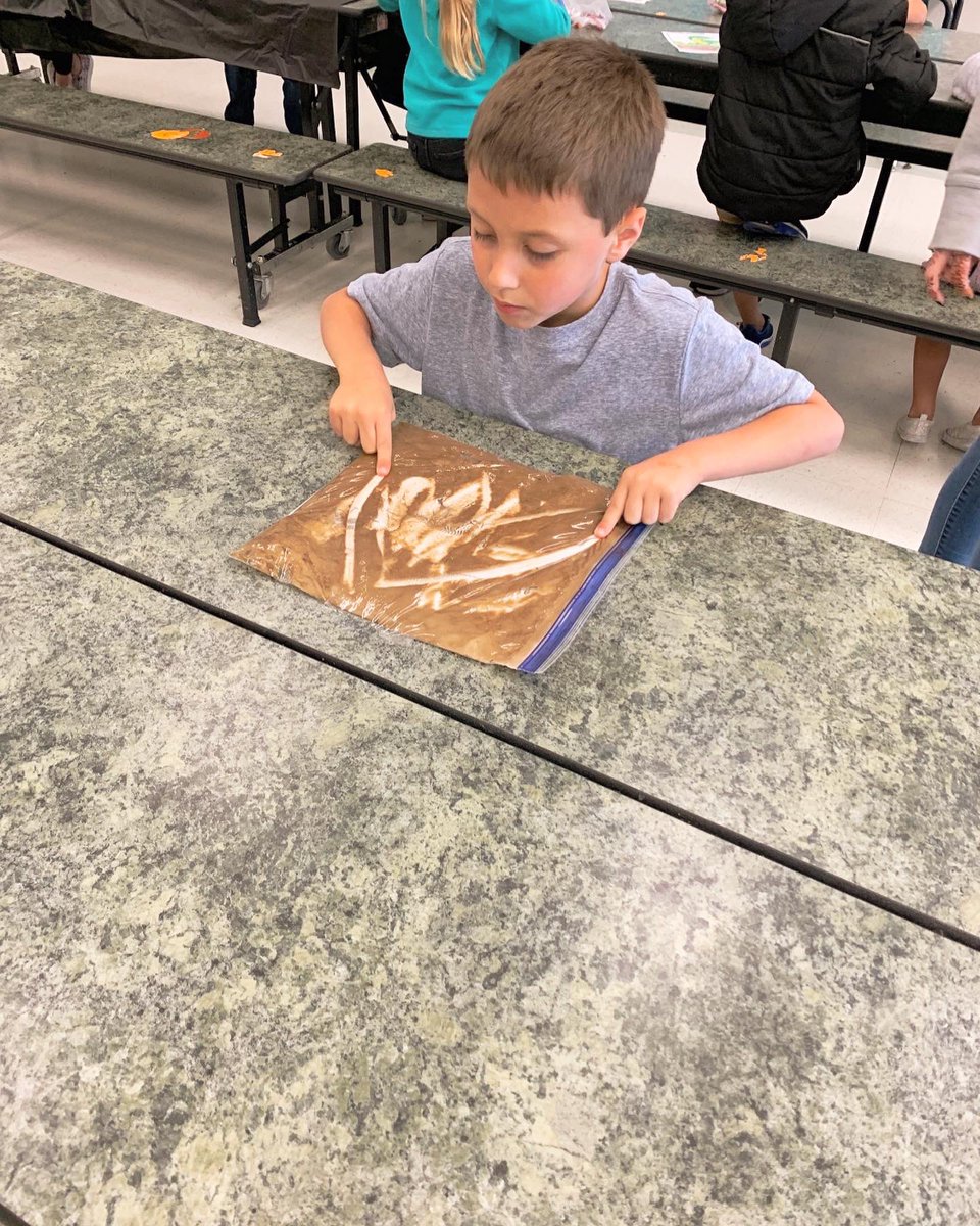 vcsbtbedep's tweet photo. Citrus Grove Extended Day learned about dinosaur fossils. Here are some of Citrus Grove’s paleontologists! 🦴🕵🏻‍♀️ @CitrusGrove_VCS  @volusiaschools https://t.co/zxVSOYmstt