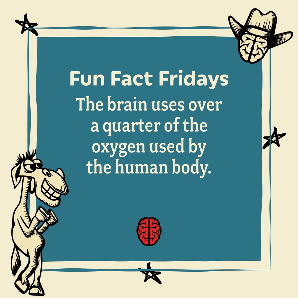 mybrainface's tweet photo. Fun Fact Friday

#funfacts #Oxygen #humanbody #Brainfacts #yyc #brain https://t.co/y3eyduypU6