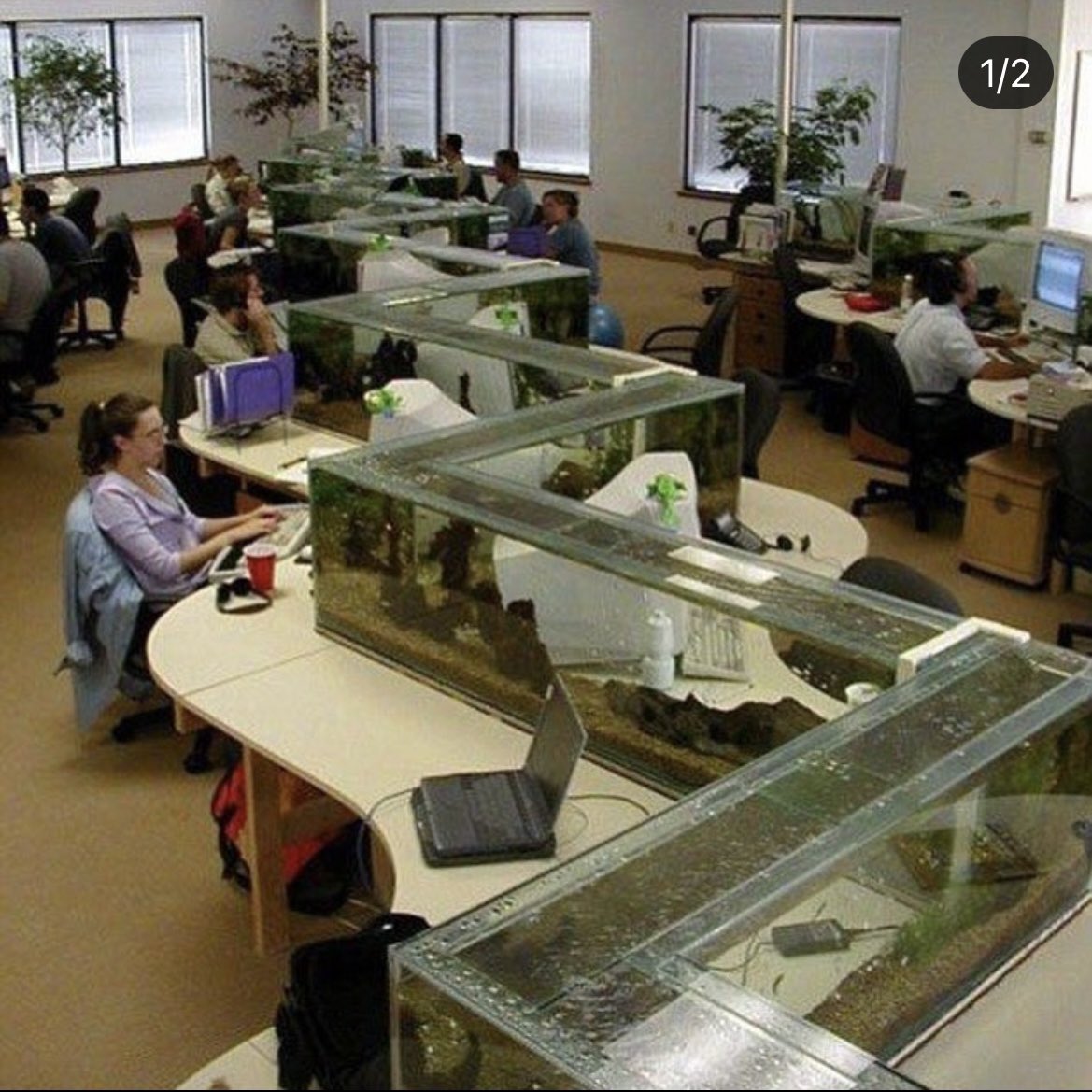 j__yli's tweet photo. The concept of office cubicles to isolate you from distractions is so strange to me https://t.co/wvPKCgG9rP