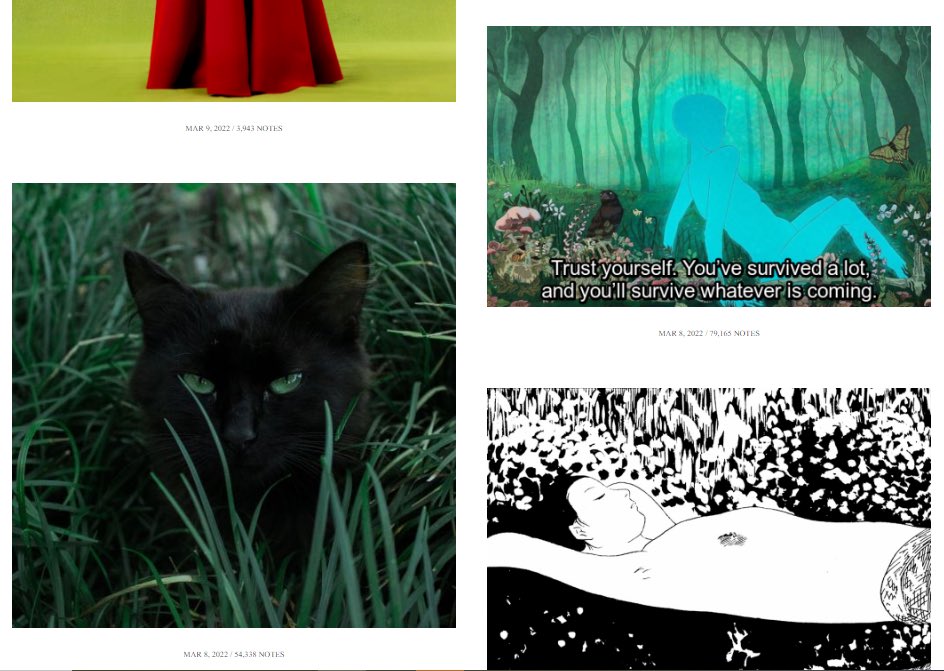 I periodically go through my Tumblr archives and just relook at everything to not only get a boost of serotonin, but to remind myself of all my likes and pleasures and desires.
Then I laugh at myself and go "yeah, this is me in a nutshell."
