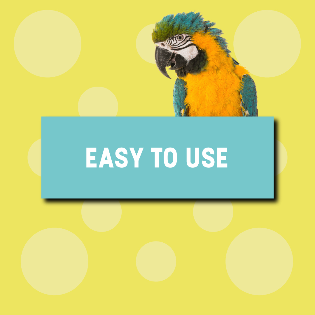 ParrotMobHQ's tweet photo. Stand out with Parrot! https://t.co/ohxbIOFKhQ

#GetParrot #eCommerce #1ClickPayments https://t.co/s6MCKtjEQ5