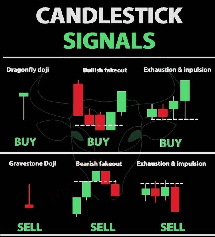 LionVestGroup's tweet photo. Learn Before You Earn. 
#LionVest #Invest #Stocks #Crypto #NFT #Money #Business #PassiveIncome #FinancialFreedom https://t.co/4Cbn4c9Mag