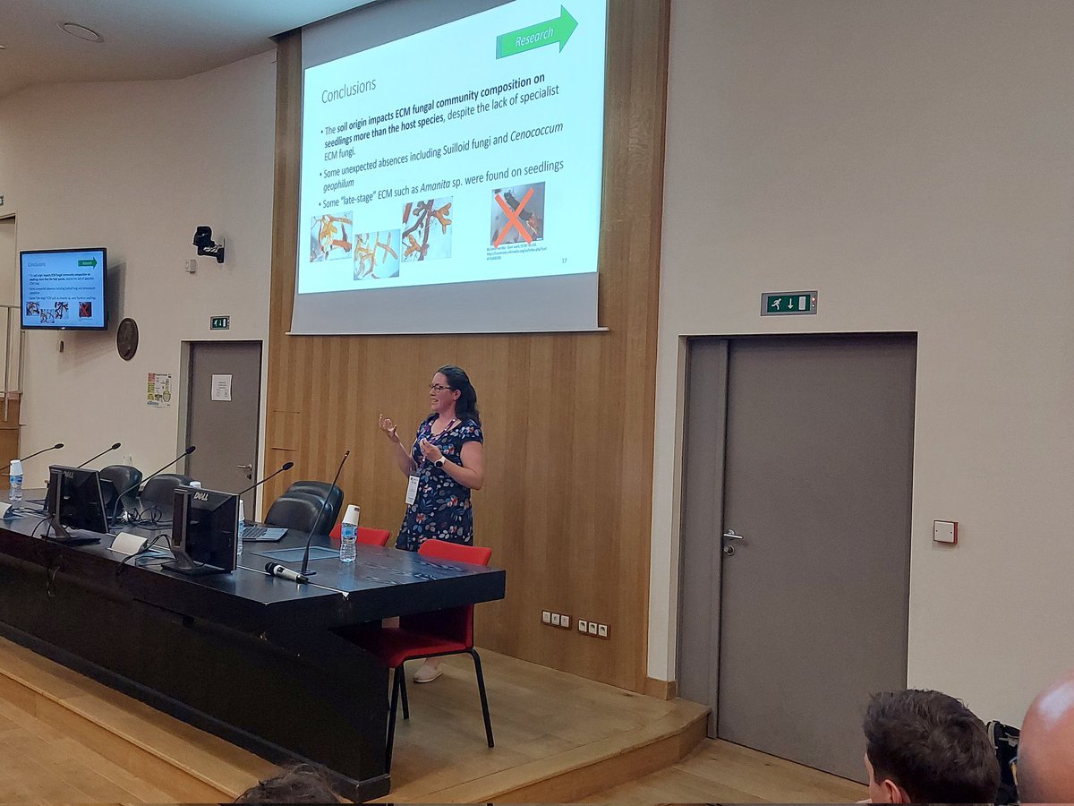 FVoller's tweet photo. Excellent conference. Lots of thought provoking discussions, new collaborations, beautiful location and great food. Photos make it look more like a holiday than sciencing 🤷♀️ Thank you to the organisers #AboveBelow22 @BESPlantSoilEco https://t.co/u2ASo95EvF