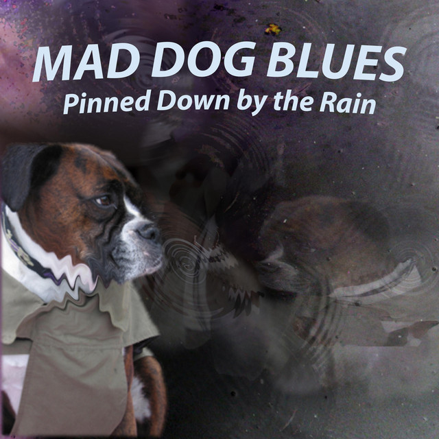 thefolkandblues's tweet photo. @MadDogBluesBand 'Pinned Down By The Rain' is This weeks #CDOfTheWeek https://t.co/iEdHo2eUvk a raw LIVE album of Colorado 'jam grass' rough and ready blues. Played 'Down So Long' more trx on next weeks show @SomerValleyFM @BluesRootsRadio @fromefm https://t.co/hCRREJgO7G