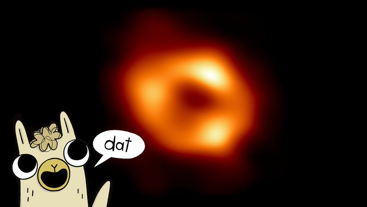 On Friday, Llama found the supermassive black hole at the center of our galaxy.

'Dat,' said Llama. 

#ourblackhole #SgrABlackHole #LlamaDestroystheWorld #llamaofscience🦙🌎