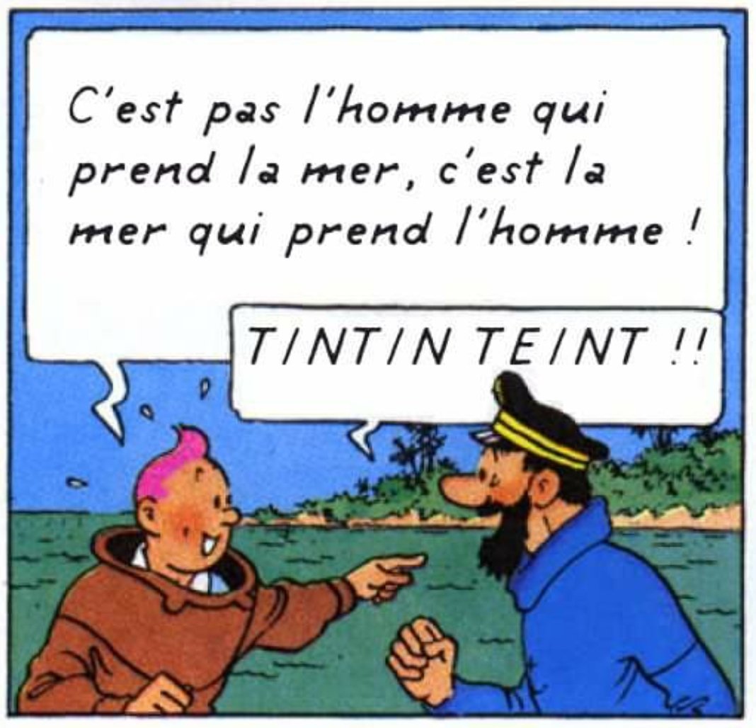 Une fois n'est pas coutume, une production de Valou (@valouleflapoire sur insta), merci à lui 👌