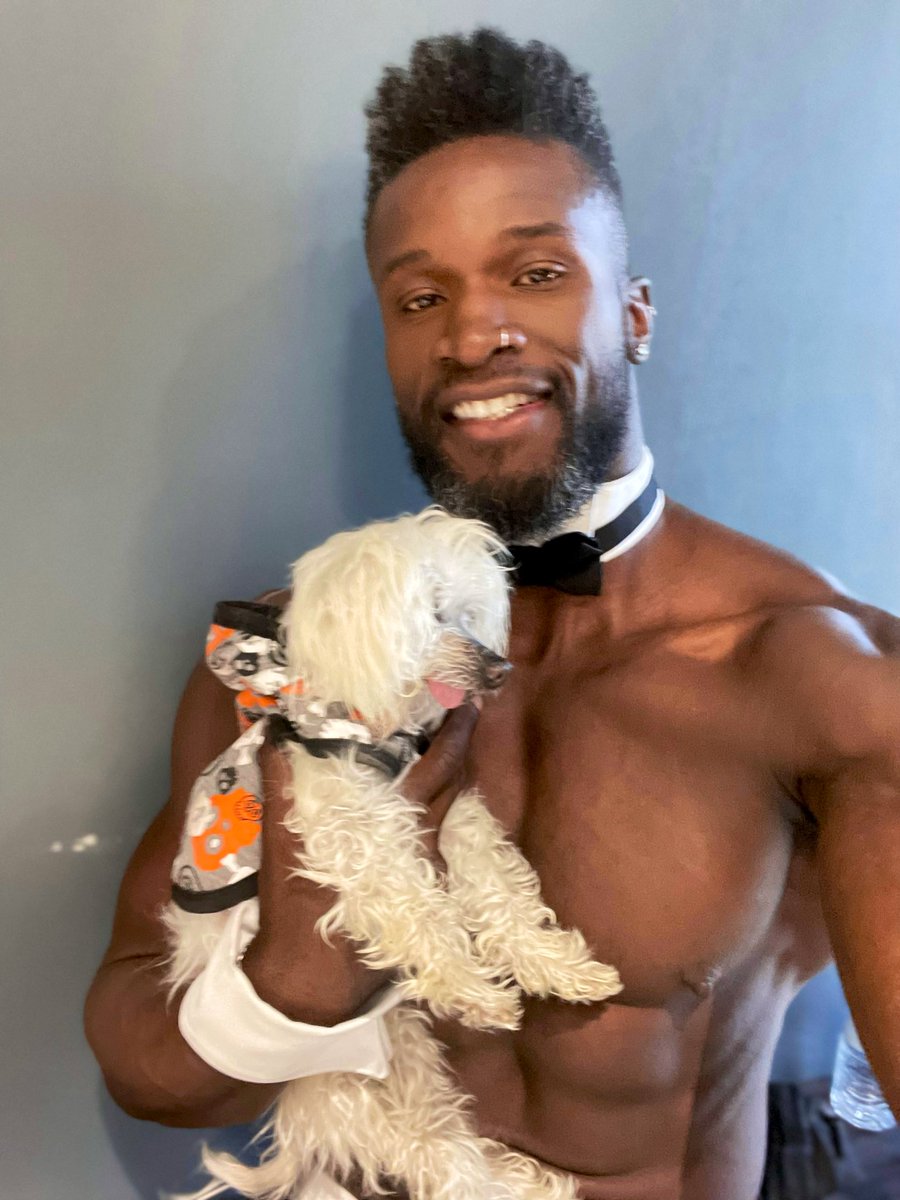 ChaunTWilliams's tweet photo. Spent the afternoon at Nevada SPCA with little Duncan Donut✨
@Chippendales https://t.co/ZcL6T4eDRF