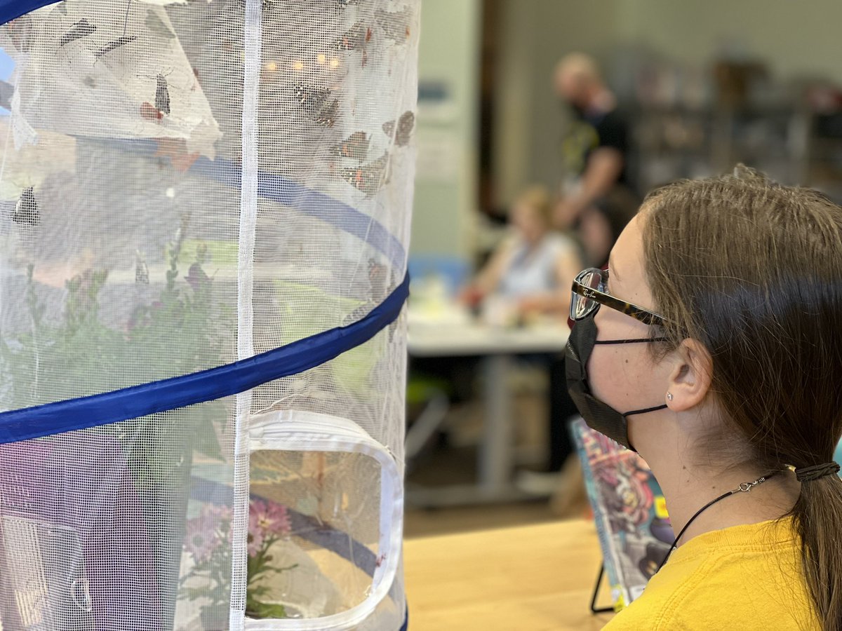 Lisa Nathaus tweet media