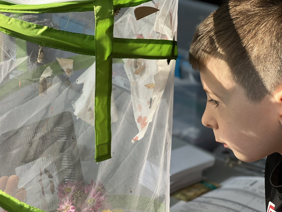 Lisa Nathaus tweet media