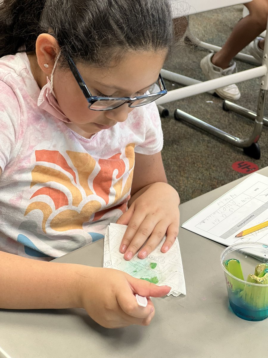 Lisa Nathaus tweet media