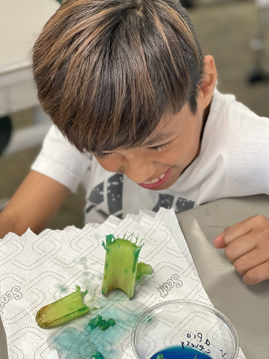 Lisa Nathaus tweet media