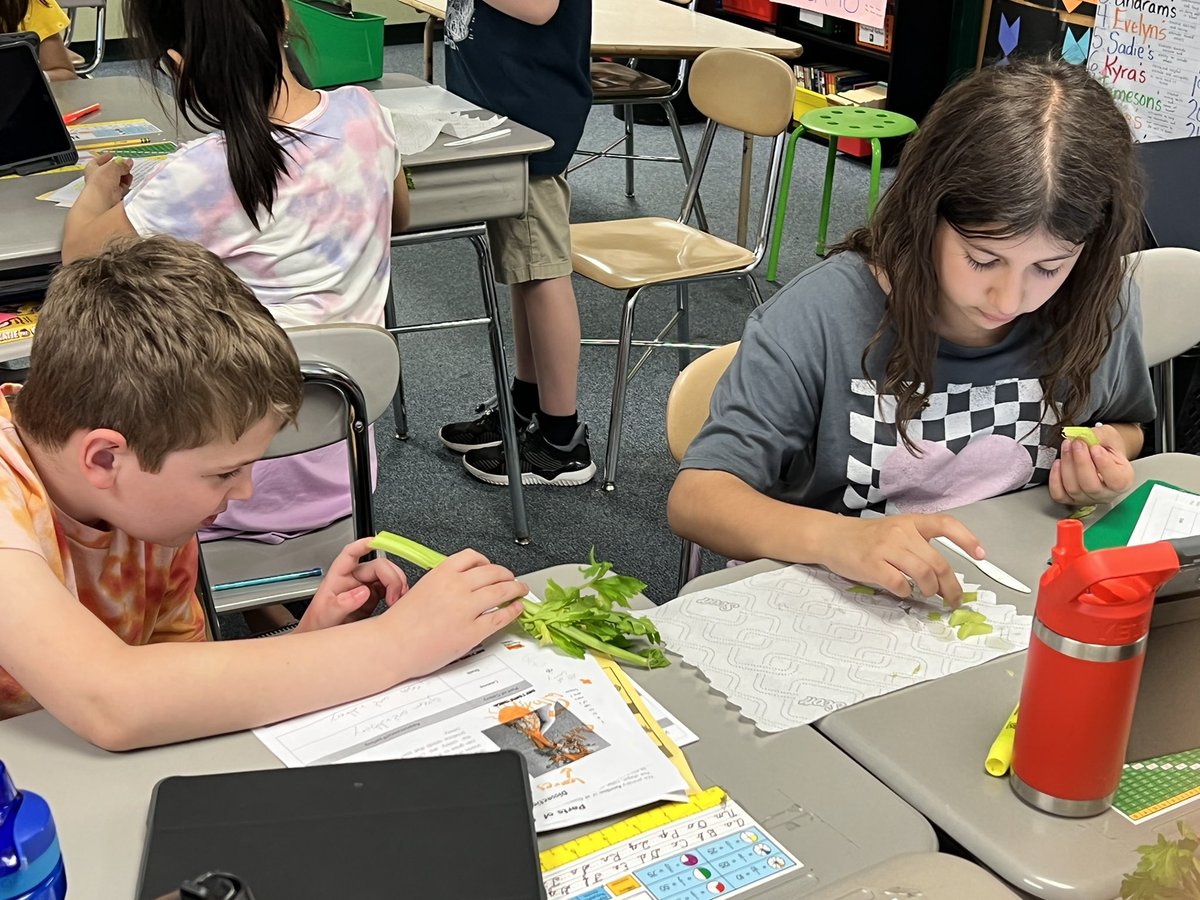 Lisa Nathaus tweet media