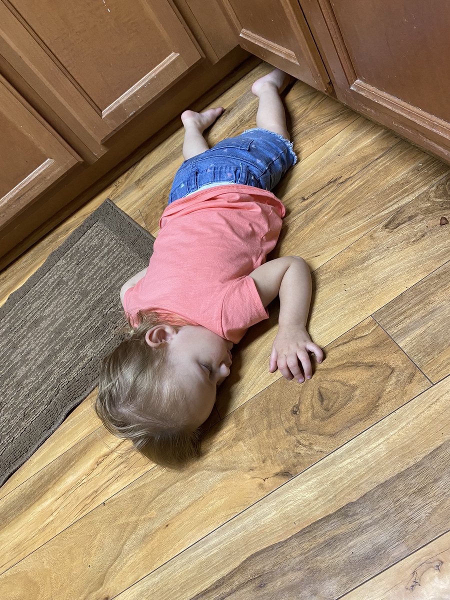 tifmjohnson's tweet photo. I guess when you’re tired, you’re tired. 🤷🏻‍♀️🤣 https://t.co/ShyM5xdTUA