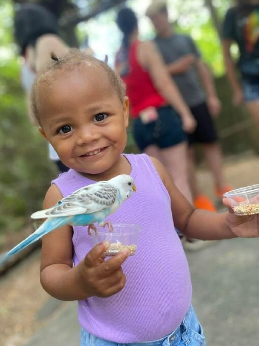 Wild_Adventures's tweet photo. It's #FanFriday again! We love seeing our guest's adventures in the park!
Want to see your favorite memories on our social media pages? Use the Hashtags #YesWAShare, #WildAdventuresThemePark, or tag us in your photos!
๐ธ: Sarah Anne Daley
๐ธ: Vickie Coop
๐ธ: Joey Madden https://t.co/GyVm7Ef9sb