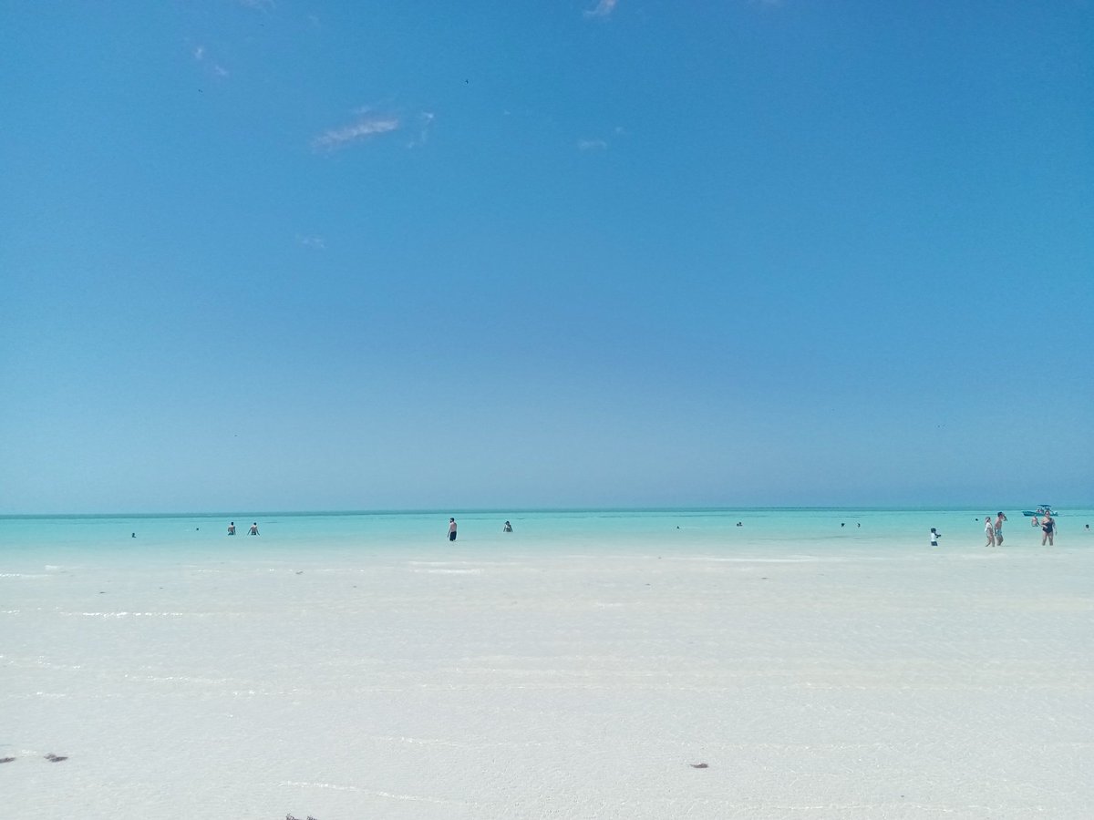 bar_mc12's tweet photo. volver ahí con my lovesito, no pido mucho, sólo ella y ese mar lindo. 
#Holbox https://t.co/5RCZSUFej5