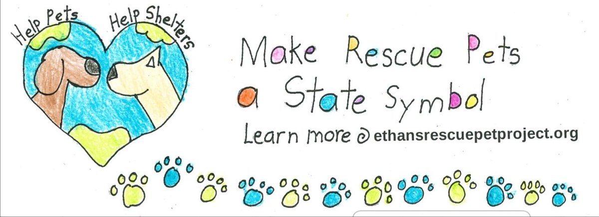 EthansPetProj's tweet photo. Oh my! Look at the awesome bumper sticker the elementary students at Lowe Elementary made! I think we may sell them to benefit a KY shelter. Stay tuned!!
#makeKYrescuepetsofficial
#makeUSrescuepetsofficial
#Kentuckyanimalshelters
#LoweElementary https://t.co/oqSMx64aMy