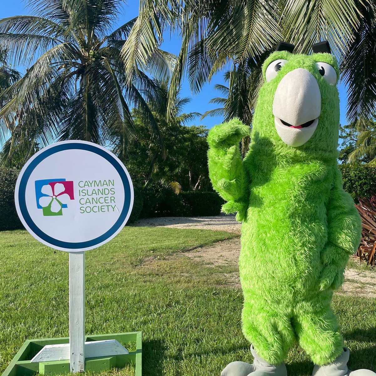 It's time for the final evening drive!

Thank you all for the love and support shown so far for our last charity!

Today is the final day of our CharityDrive, show you support for the <a href="/CaymanCancer/">Cayman Cancer Soc</a> by driving around the Island Heritage roundabout, like and share our posts!