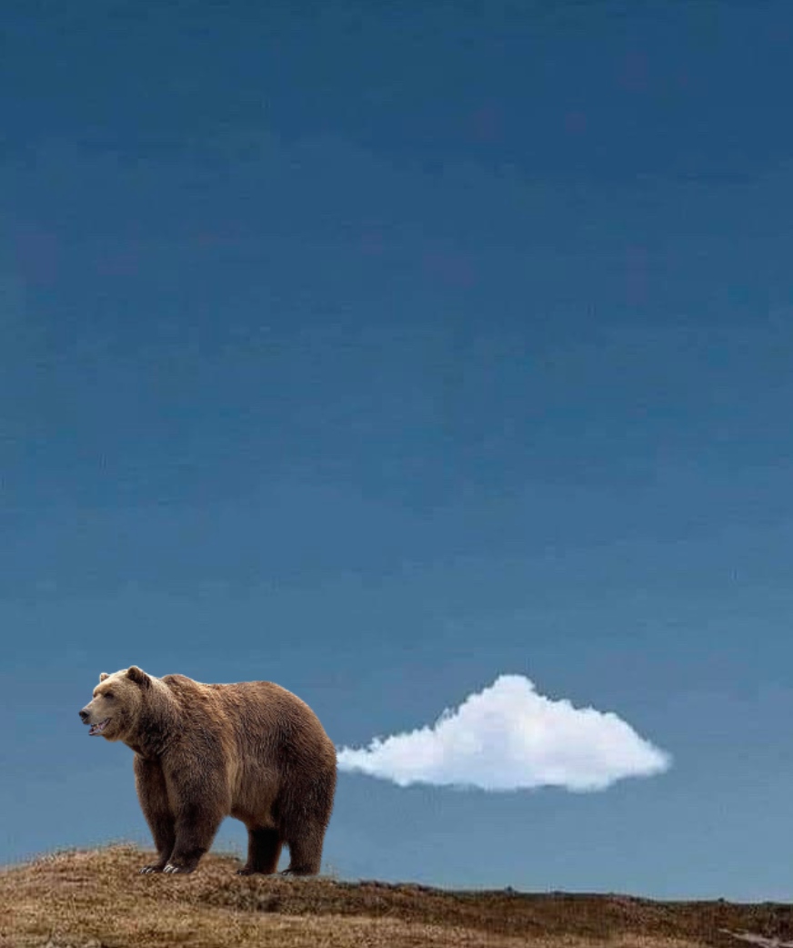 oopps that was embearassing... 💨