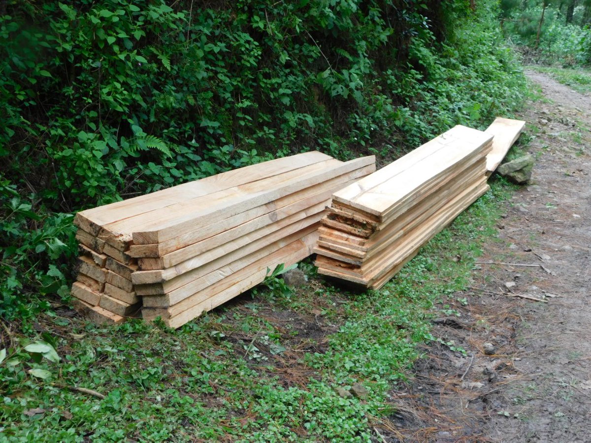 inabguatemala's tweet photo. ❎🪓🪵🇬🇹
La tala ilegal implica la pérdida de la cobertura forestal y de los bienes y servicios que obtenemos de los bosques. Sin árboles manejados sosteniblemente, no obtendríamos leña o madera para la construcción; frutos, oxígeno ni agua.
#RegionVII #INAB #MasBosquesMasVida https://t.co/HpugBptE8e