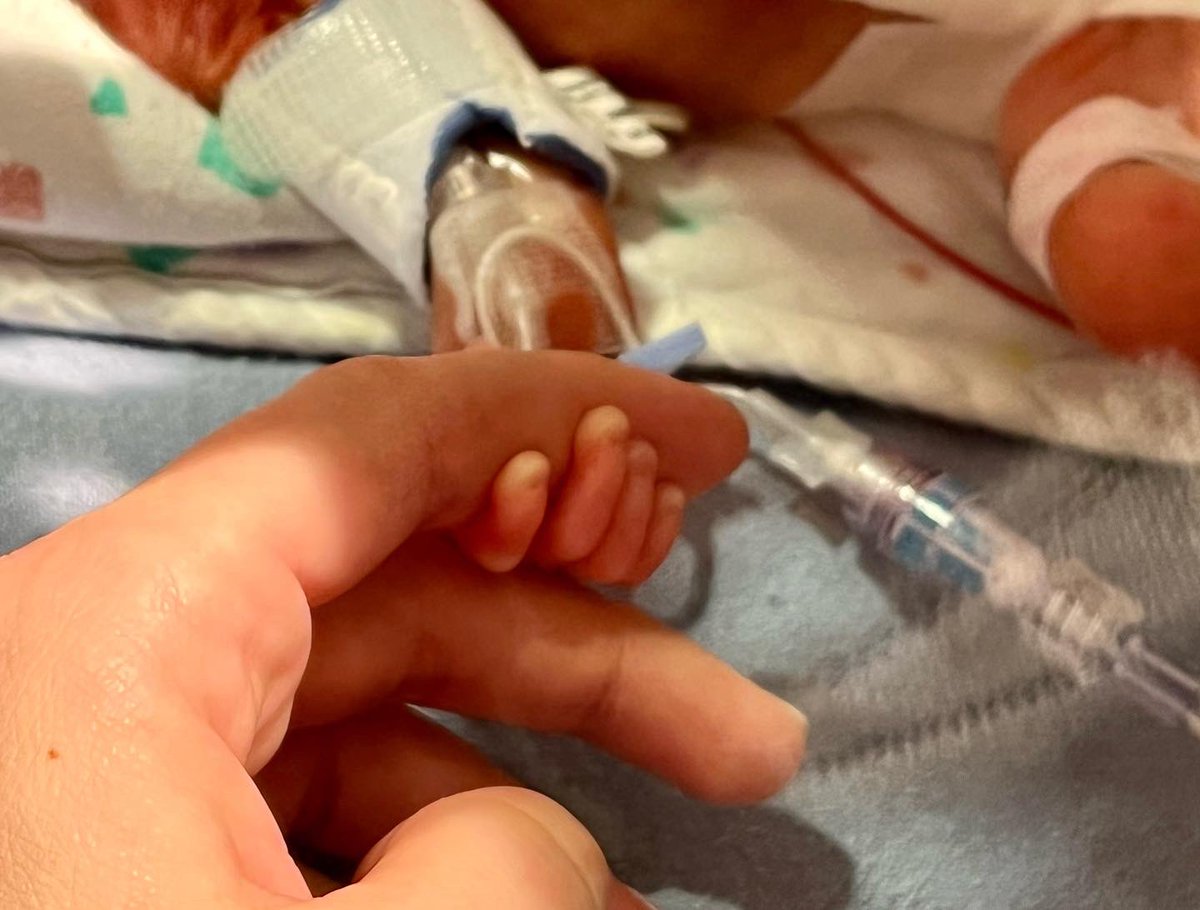 Edward Steinhauser tweet media