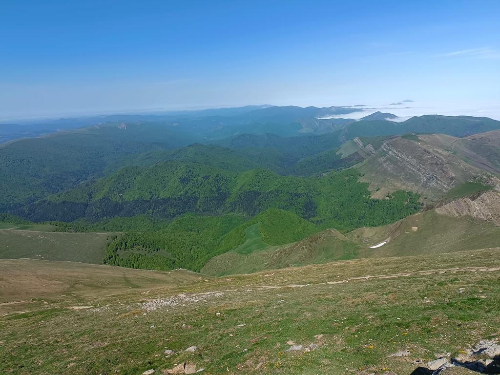 IratiTrail's tweet photo. Qué os parecen estas vistas? En tres semanas las disfrutaréis en vivo! Irati se está poniendo de un verde precioso para la ocasión! 🌳🌲
⛰️🏃🏻‍♀️🏃🏻
#iratitrail22
#orhikotxoriaorhiratira https://t.co/jhimHdUwBX