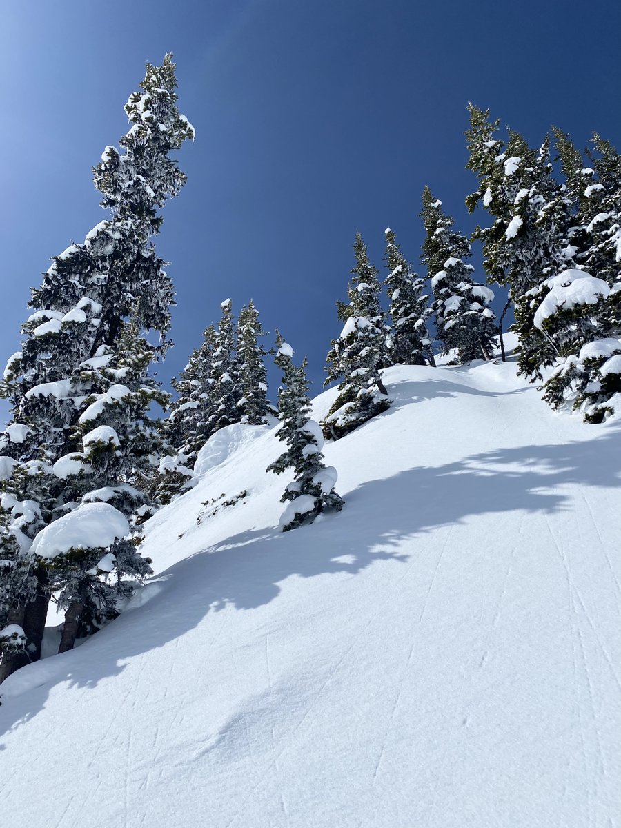 CrystalMt's tweet photo. Currently: 🌤️❄️⛷️🏂
Green Valley stake reads 109 inches! https://t.co/c2jNTerSOh