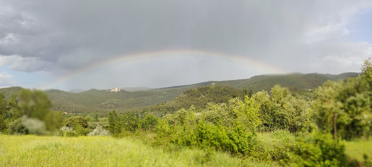 Julianmendoza68's tweet photo. “Si quieres ver un arcoíris tienes que aprender a disfrutar de la lluvia.”
#Siles
#ParaVivirloTodo
#EncantoNatural https://t.co/xgpuHOBe5Q