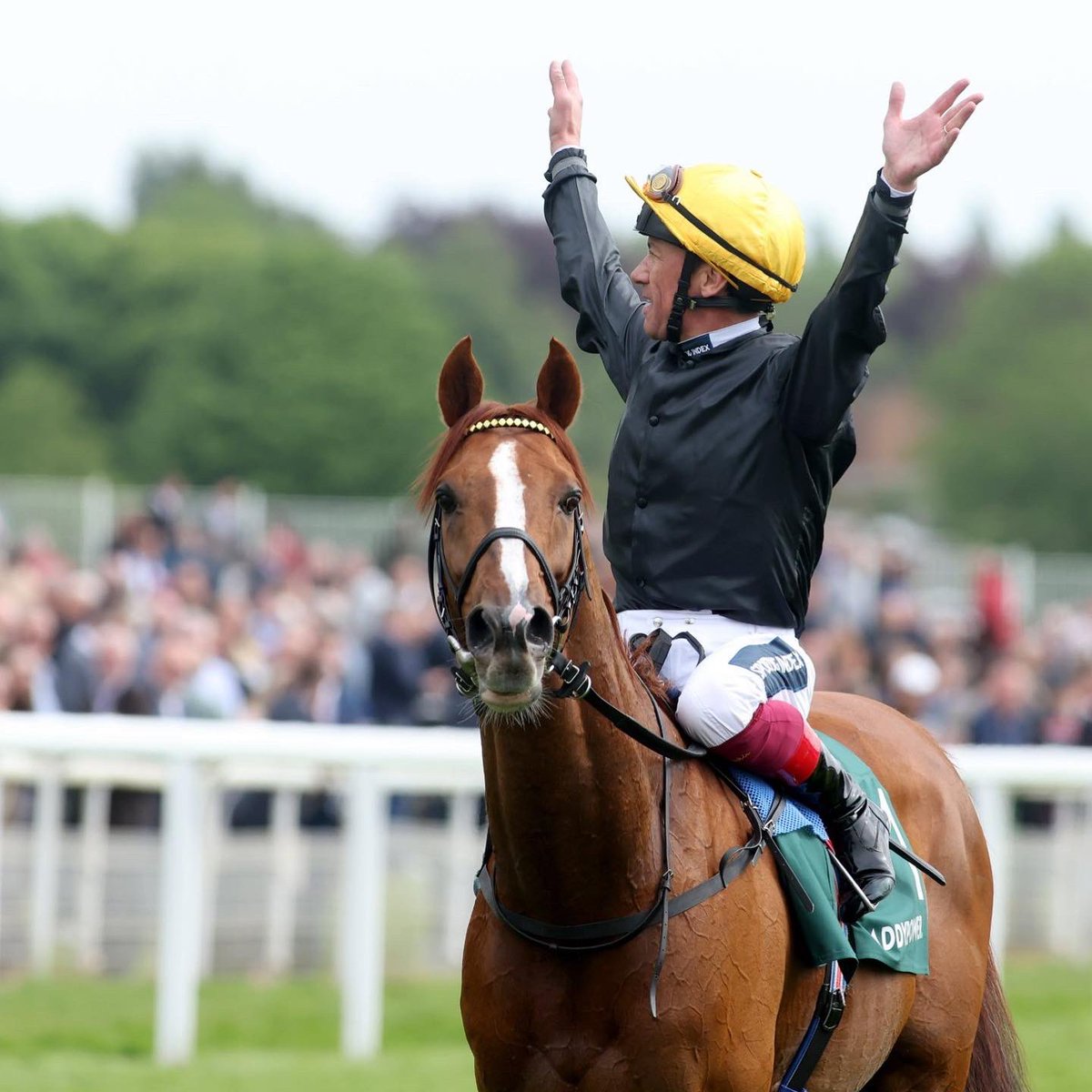 FrankieDettori's tweet photo. That was special! 🖤💛 https://t.co/9E1nplWCC9