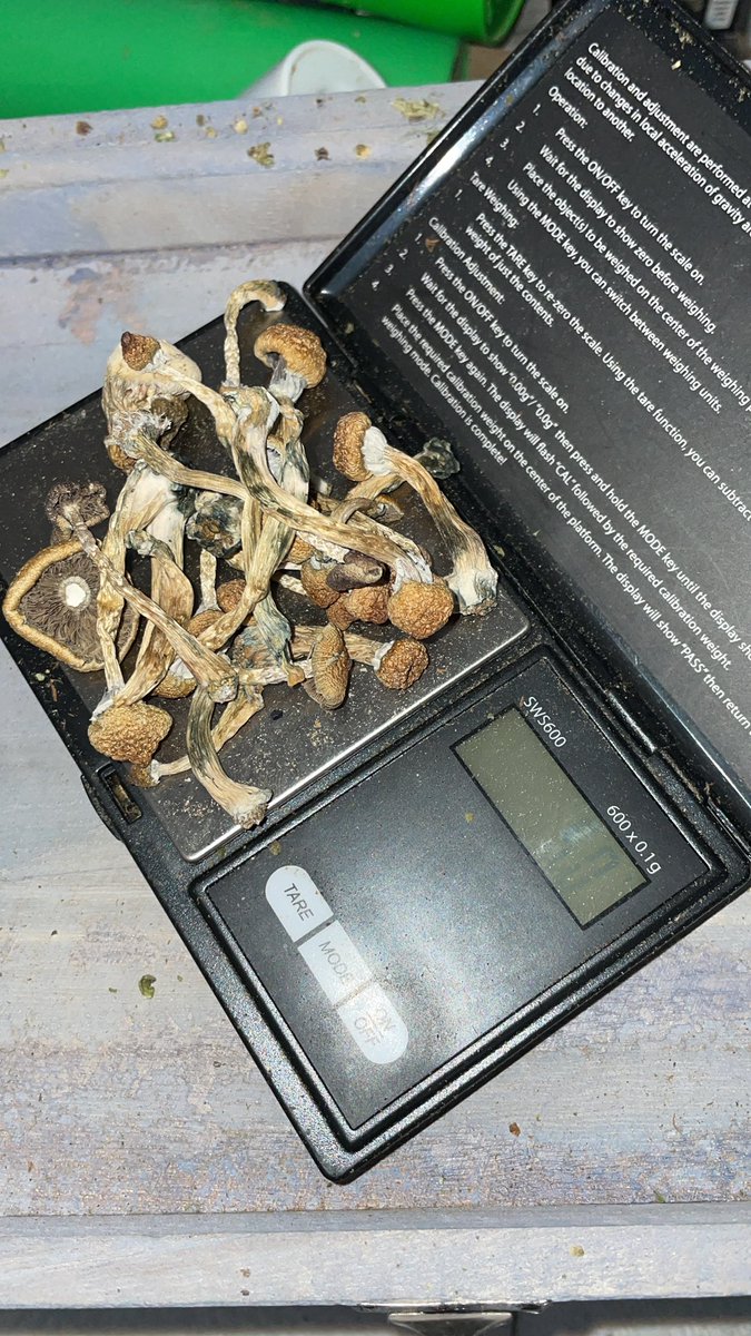 lord_flying's tweet photo. 5g of the Finest Mckenni in the north west πππππ #lemontek #shrooming #amafungi https://t.co/bBbAvtUJVd