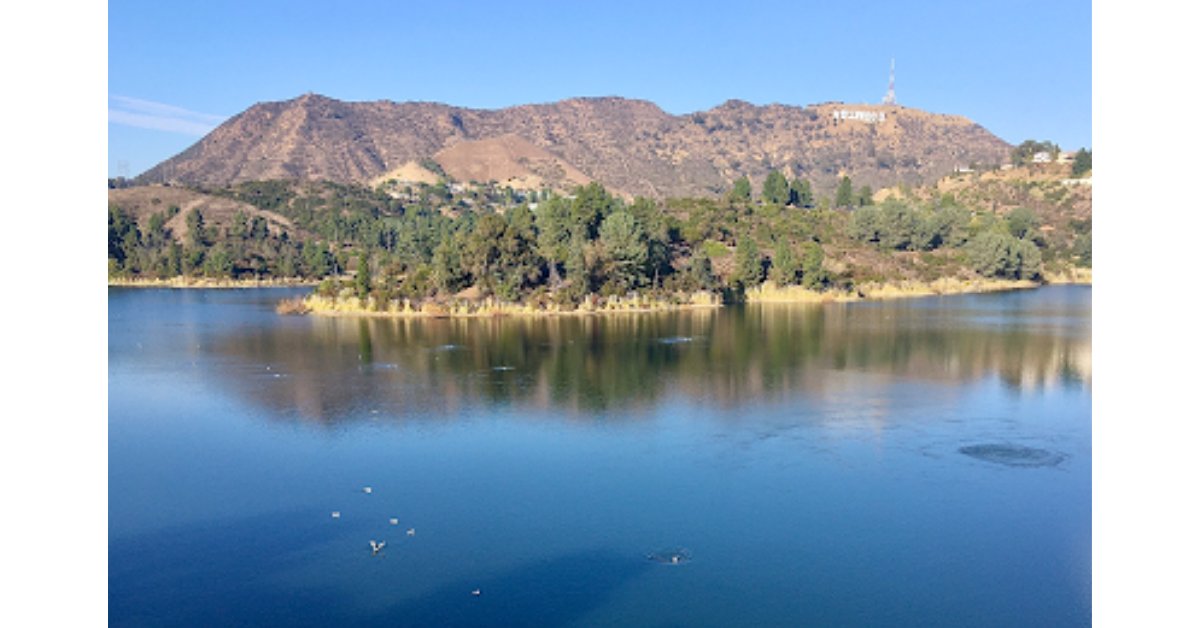 UCLA_Alumni's tweet photo. Join the #UCLA @FirstGenAlumni Network for a fun outdoor hike around the Lake Hollywood Reservoir walking trail, taking place Saturday, May 21. Find out more and register here: https://t.co/k3xoQctT6l. https://t.co/A20XHd2ddu