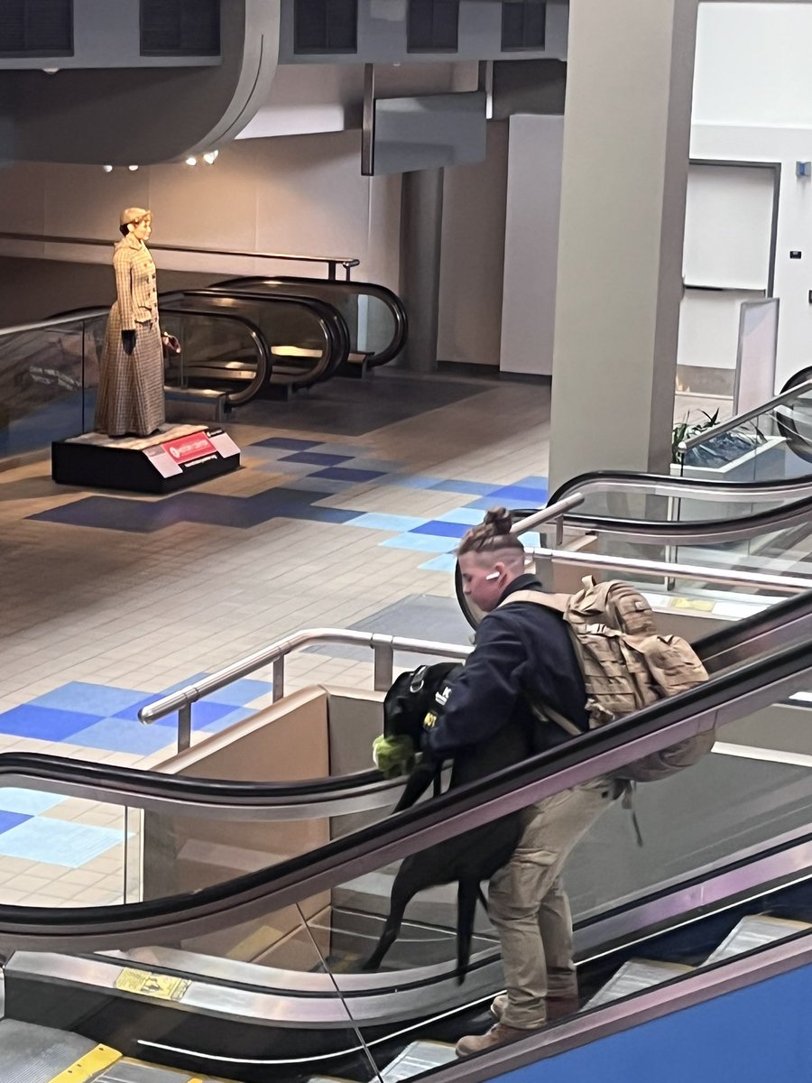 nameisgrant's tweet photo. Dog afraid of escalator. Pittsburgh intl airport. https://t.co/xhux2MqLKG