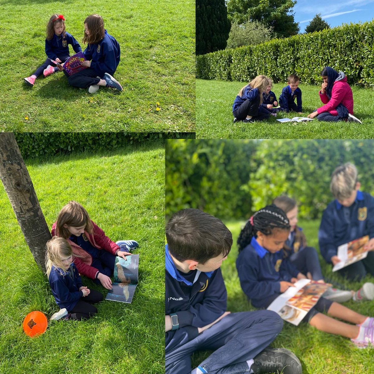 Parteen_School's tweet photo. 5th class and Junior Infants took advantage of the lovely, sunny afternoon and enjoyed “Buddy Reading” together! 📚🥰😎 #parteen #parteenschool #primaryschool #hiddengem #fifthclass #juniorinfants #reading #sun #buddyreading https://t.co/T0DOYgEYok