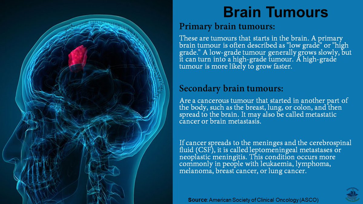 International Cancer Institute tweet media