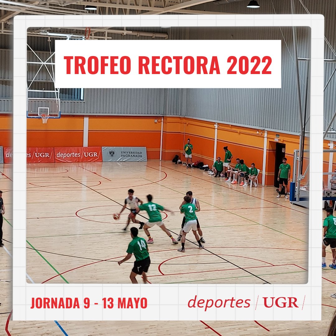 DeportesUGR's tweet photo. 🔴 Resumen 9 - 13 Mayo #TrofeoRectora
🔙 Esta semana hemos disfrutado de partidos decisivos en el Trofeo Rectora 🏆 con partidos emocionantes en los que ya conocemos quiénes son los campeones 🥇 en algunos deportes:
👇 https://t.co/LCPTls5z3H