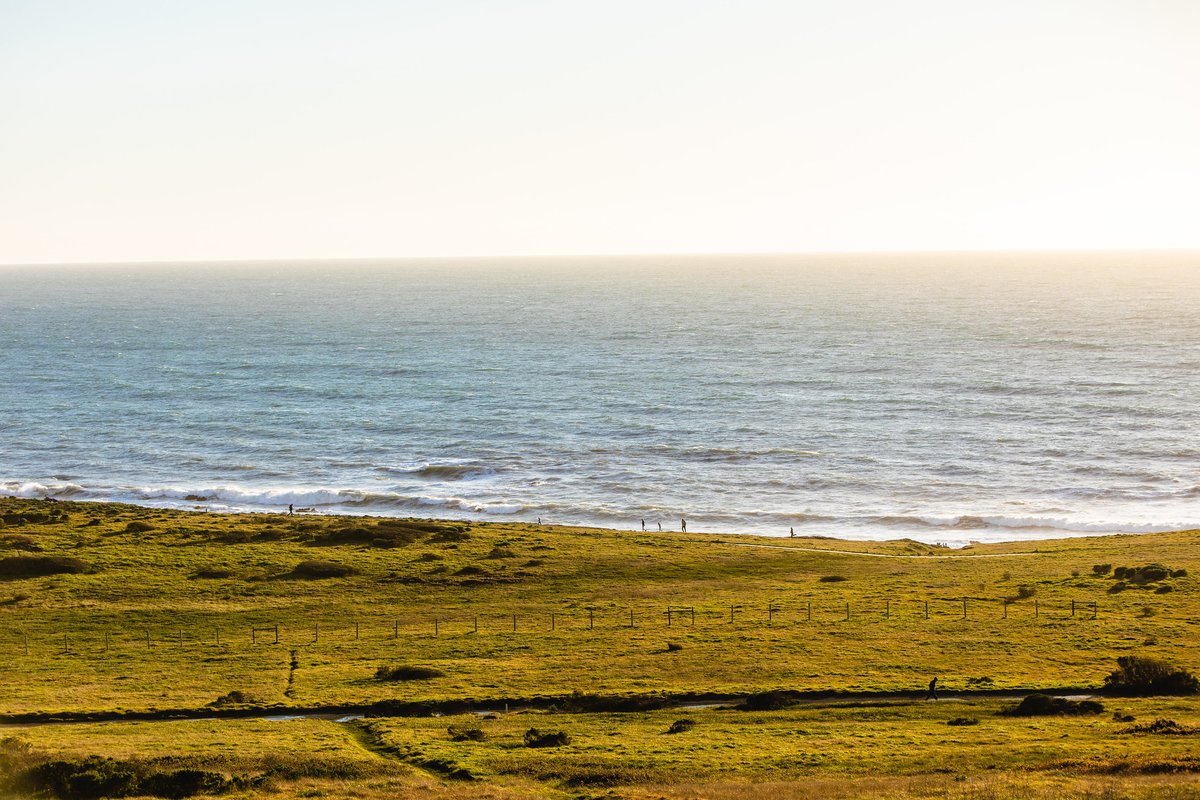 Visit Cambria tweet media