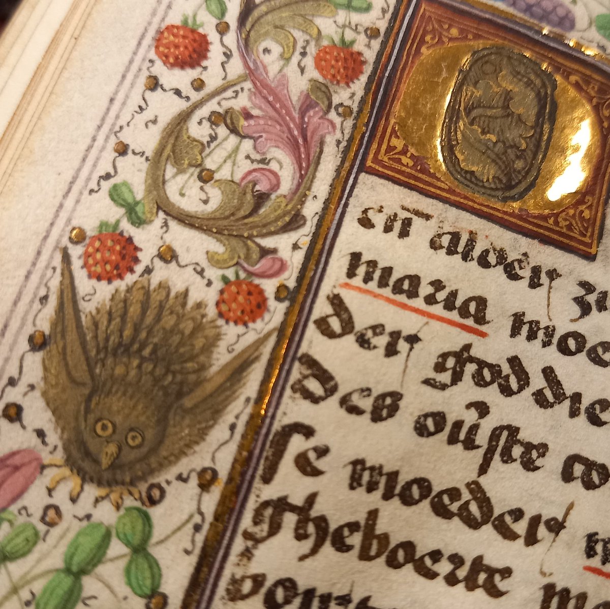 amwillemsen1's tweet photo. Today, finally met #manuscript I seem to keep writing about: small prayerbook from #Limburg 1490-1500 @KB_Nederland (133 D 10) w/girls riding hobbyhorses & mock fighting w/blunt lances! Also: boys fighting w/#kolf sticks & balls. And a superb-owl!🦉 @EdvanderVlist @SamuelMareel https://t.co/j0essTbxU3