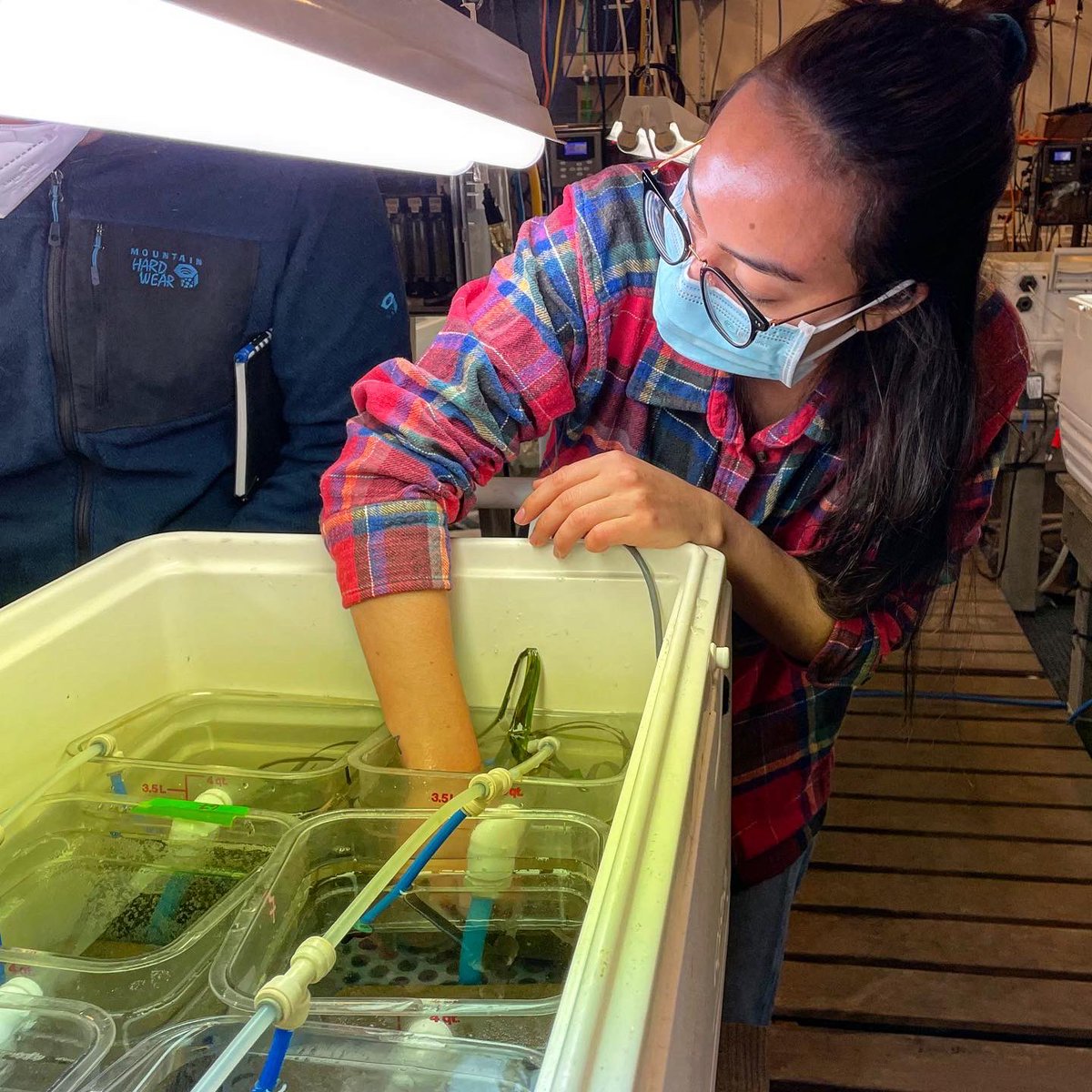 NU_ThreeSeas's tweet photo. We were so excited to have @steve_doo back again for another class here at @MarineBiol_FHL for Changing Global Oceans! Students jumped in right away setting up OA experiments involving local mussels and seagrass

📸: @its_scuba_shan 

#cosconnects #3Cs41 #fridayharborlabs https://t.co/tbvLelrMr4