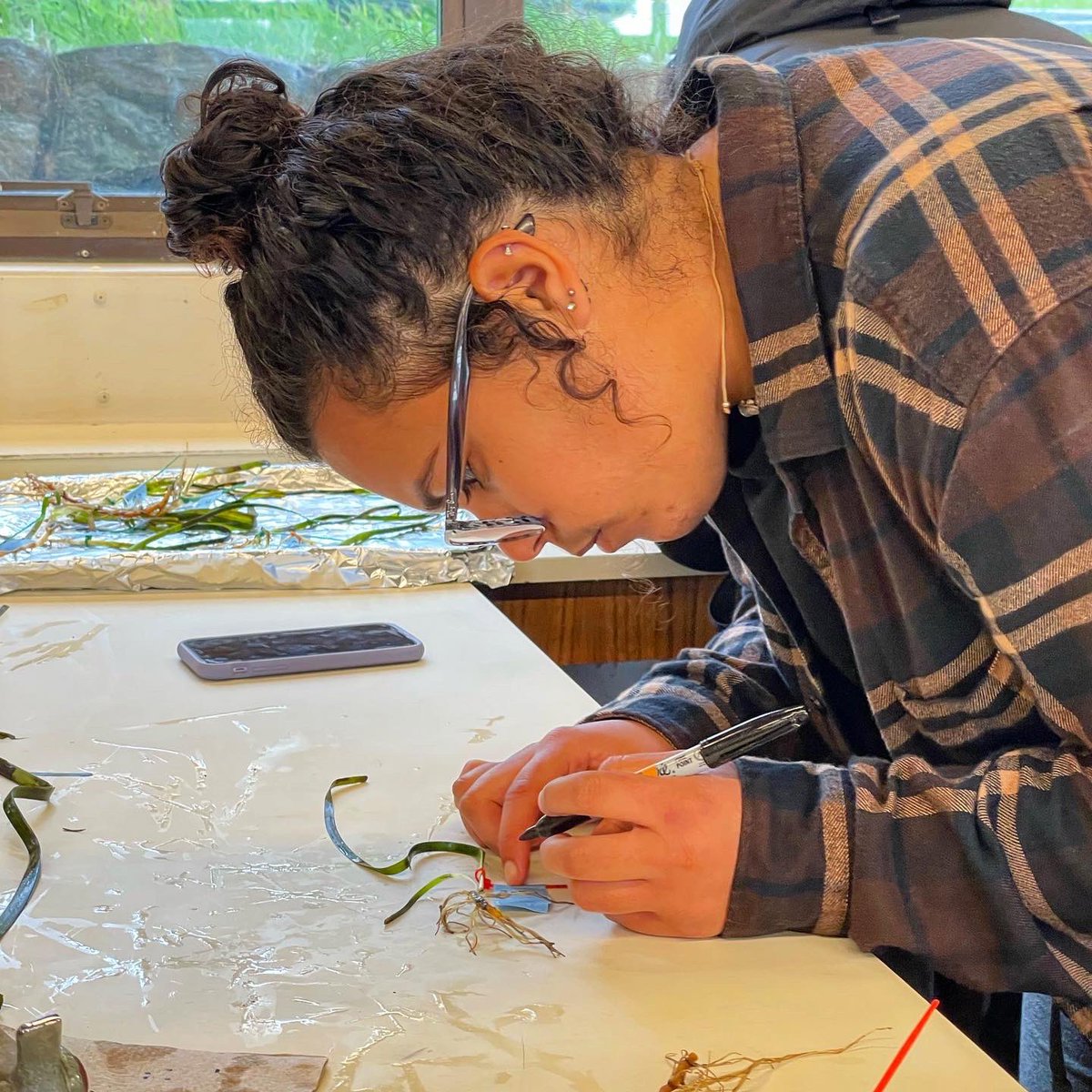 NU_ThreeSeas's tweet photo. We were so excited to have @steve_doo back again for another class here at @MarineBiol_FHL for Changing Global Oceans! Students jumped in right away setting up OA experiments involving local mussels and seagrass

📸: @its_scuba_shan 

#cosconnects #3Cs41 #fridayharborlabs https://t.co/tbvLelrMr4