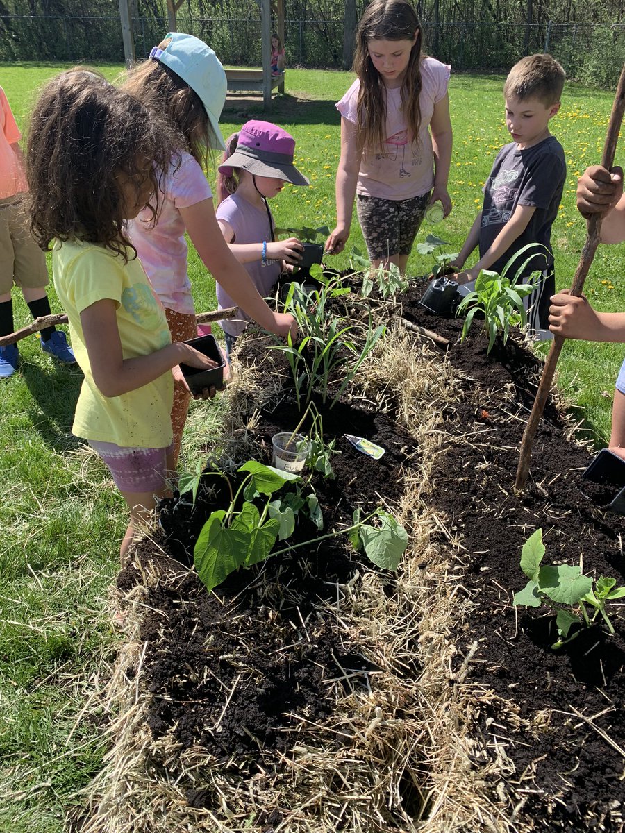 Un avant-midi rempli de mains sales, de découvertes mais surtout de rires et de sourires! Notre jardin est planté! <a href="/smbmerrickville/">SMB</a>