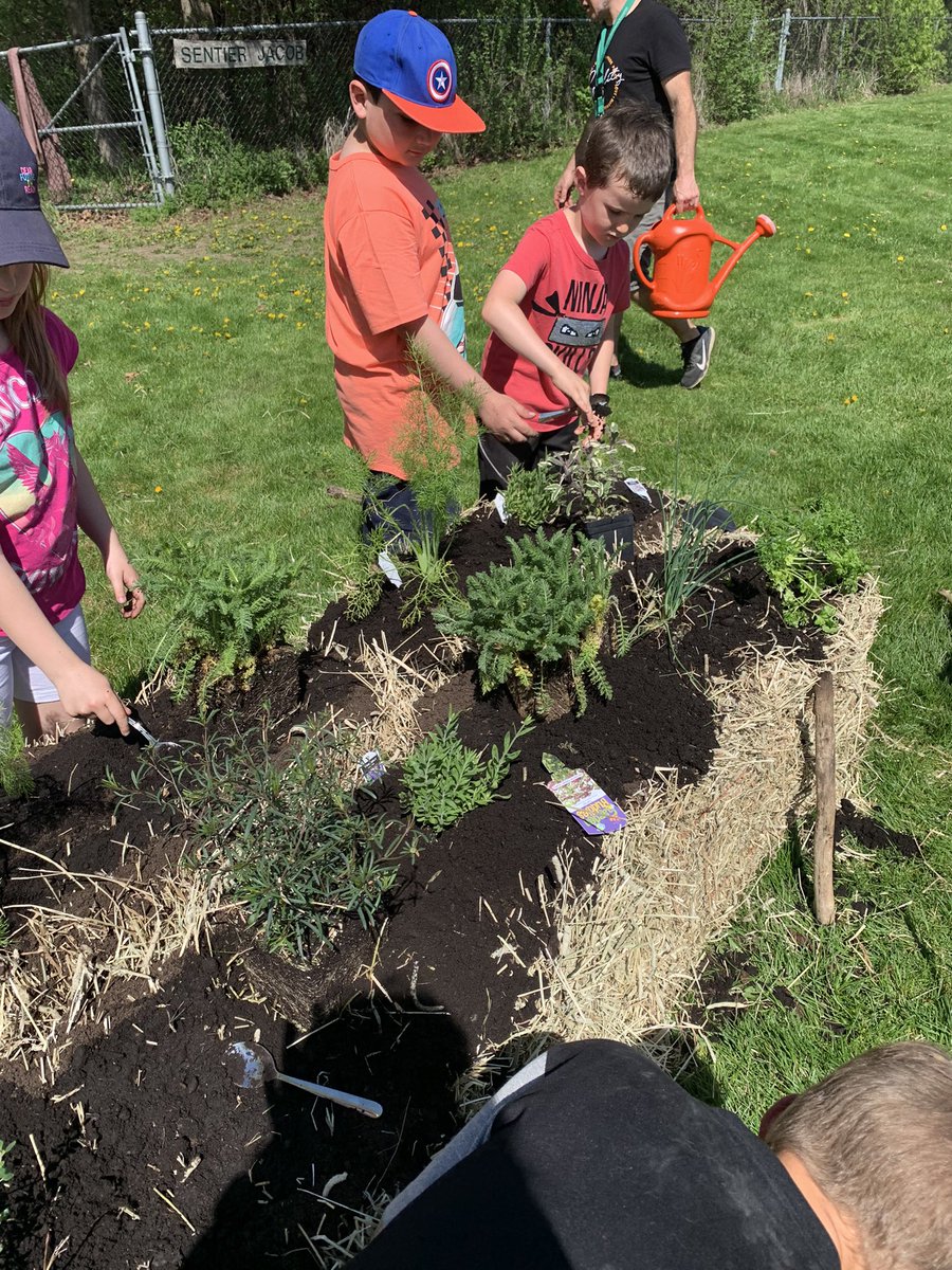 GabrielleLefe's tweet photo. Un avant-midi rempli de mains sales, de découvertes mais surtout de rires et de sourires! Notre jardin est planté! @smbmerrickville https://t.co/Aa9TXSK9hc