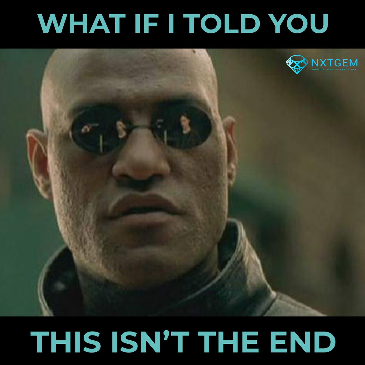 nxtgem_io's tweet photo. Situation right now 😃

#memes #funnymemes #Crypto #cryptocurrency #Bitcoin #DOGECOIN #Blockchain #NFT #NFTart #nftcommunity https://t.co/6PkyzVXtjL