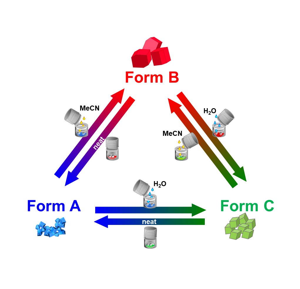 Polymorphism can be selectively and reversibly controlled under @mechanochem conditions. Now at @crystengcomm with Lampronti (tinyurl.com/glampronti) and Sanders (tinyurl.com/JKMSanders ) @chemcambridge and <a href="/amichalchuk/">Adam Michalchuk</a> and @franemmerling @bamresearch. tinyurl.com/tripoly.