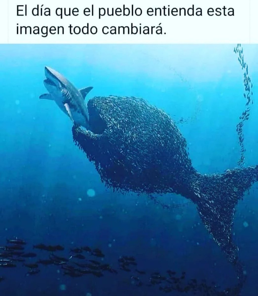 plomoparejo's tweet photo. https://t.co/GF1Zl1jp9b